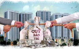 “Bắt bài” những mánh khóe trục lợi quỹ bảo trì chung cư của ban quản trị