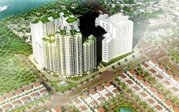 Giá căn hộ chung cư trong vài năm tới vẫn tiếp tục tăng trưởng ?
