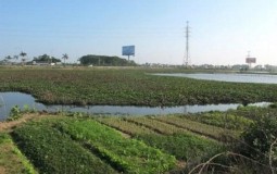 Bản tin bất động sản sáng ngày 3/7: Dự án nhà ở xã hội hơn 500 tỷ “ngủ ngon” trên giấy