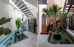 Những lưu ý khi thiết kế bể cá dưới chân cầu thang