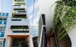 Mê mẩn với thiết kế mang đậm đặc trưng của miền nhiệt đới bên trong HQL Apartment