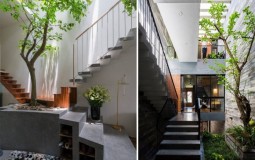 Những lưu ý khi trồng cây ở chiếu nghỉ cầu thang