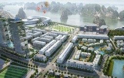 Cung vượt quá cầu, Quảng Ninh ra lệnh dừng gấp dự án nhà ở mới