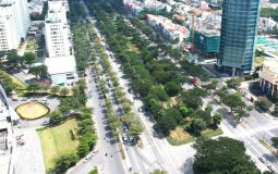 Nhiều vướng mắc trong quản lý cây xanh đô thị