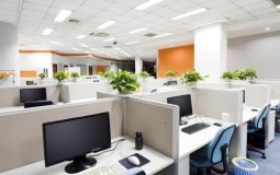 Cách lựa chọn và bài trí đồ phong thuỷ trên bàn làm việc