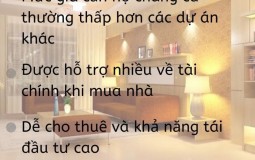 Kinh doanh đầu tư căn hộ phải thế nào mới sinh lời, hiệu quả cao?