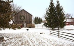Ấn tượng ngôi nhà giữa tuyết trắng với không khí Noel "cực chất"