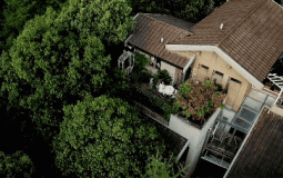 Vợ chồng trẻ cải tạo nhà nát thành không gian sống đẹp như mơ