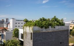 'Lá phổi xanh' của ngôi nhà tại Đà Nẵng khiến người ngắm không khỏi trầm trồ