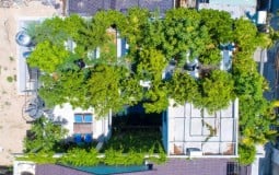 KTS Võ Trọng Nghĩa trồng cây xanh trên mái nhà
