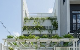 Khám phá "ngôi nhà nhiệt đới" 60m2 tại ngoại ô Đà Nẵng