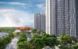 50.000m2 được dành riêng cho cây xanh mặt nước tại khu căn hộ Picity High Park
