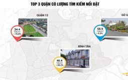 Thông tin nhà đất: Quận Bình Tân tăng trưởng lên đến 20.2%
