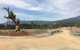 Đầu năm 2020, thị trường bất động sản Hòa Lạc lại nổi sóng