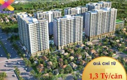 Công bố các Đại Lý (Sàn) phân phối dự án 9X Next Gen
