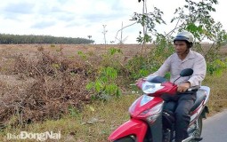 H.Long Thành có thêm 53 dự án mới