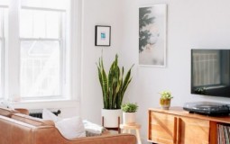 Ý tưởng thiết kế nội thất căn hộ đẹp nhất 2020