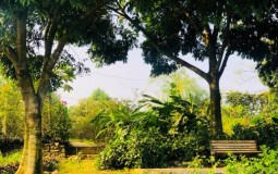 Những lưu ý "sống còn" khi lùng mua đất làm nhà vườn, homestay