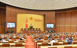 Quốc hội phê chuẩn hiệp định EVFTA và EVIPA ‘mở ra chân trời’ phát triển cho bất động sản Việt Nam.