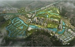 Ecopark xuất hiện trường liên cấp quốc tế hàng đầu Hoa Kỳ
