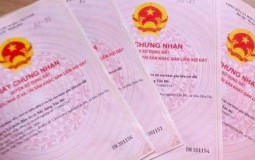 Tổng hợp 3 trường hợp đất vi phạm vẫn được xem xét cấp sổ đỏ