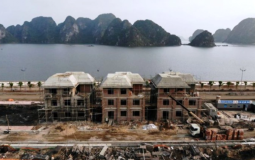 Quảng Ninh: Giao đất không qua đấu giá tại Dự án Green Dragon City