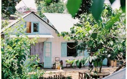 Ngôi nhà gỗ nấp sau những tán cây xanh mát ở Đà Lạt