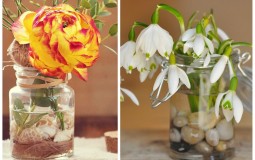 Học cách cắm hoa đơn giản, sáng tạo cho nhà thêm xinh