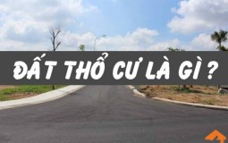 Đất thổ cư là gì? Phân biệt các loại đất thổ cư hiện nay