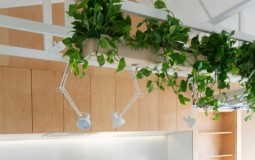 11 xu hướng thiết kế nội thất gây sẽ “bão” trong thập kỷ tới