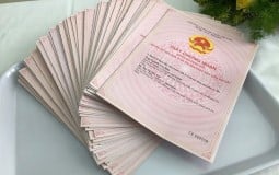 TP.Hồ Chí Minh:  Kiến nghị liên Bộ "gỡ" vướng mắc trong thẩm định giá đất