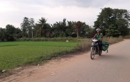 Đề xuất hệ số xây dựng giá T1 trong quá trình lập phương án bồi thường ở quận 12 thành phố Hồ Chí Minh