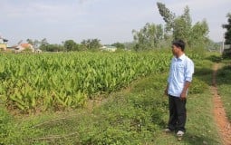 Có thể bán đất nông nghiệp đã hết hạn sử dụng không?