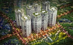 Chung cư Him Lam Chợ Lớn - quận 6, TP Hồ Chí Minh