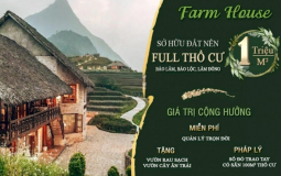 Đất nền Farm House Lộc Đức, Huyện Bảo Lâm - Lâm Đồng