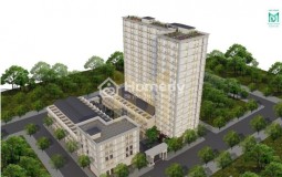 Dự án MD Rent House TÂN MỸ QUẬN 7