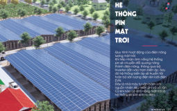 Dự án điện nấm Redstar Solar, Huyện Bắc Bình - Bình Thuận
