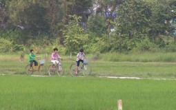 TP.Hồ Chí Minh: Chủ trương cho xây dựng nhà tạm trên đất nông nghiệp