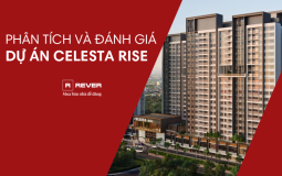 Phân tích và Đánh giá đầu tiên dành cho giai đoạn 1 dự án Celesta Rise