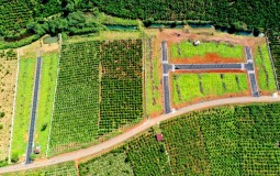 50 Lộc Quang Bảo Lộc - Dự án nghỉ dưỡng thơ mộng nơi núi rừng