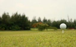 Bà Rịa - Vũng Tàu: Dự án sân golf 4 tỷ USD của doanh nghiệp nước ngoài chậm triển khai
