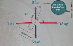 Cách đọc thông tin trên sổ đỏ chính xác nhất