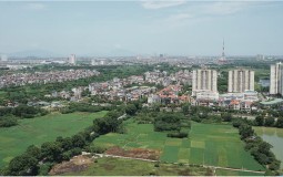Mô hình "định giá đất hàng loạt" và triển vọng áp dụng tại Việt Nam