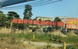 Hà Nội: Thực trạng xẻ đất công viên cho thuê giá "bèo"