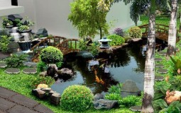 Hướng dẫn xây hồ cá xi măng, bể cả mini ngoài trời làm đẹp sân vườn