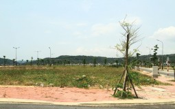 Đất sạch hóa vàng, doanh nghiệp hưởng lợi lớn từ cơn "sốt đất"