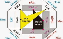 Ngắm nhìn những mẫu cổng biệt thự dẫn đầu xu hướng hiện nay