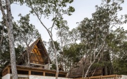 Jungle Keva: Khu khách sạn cao cấp trong rừng với thảm thực vật phong phú