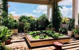 Bộ sưu tập các mẫu thiết kế nhà cấp 4 có sân thượng độc đáo