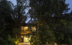 Rainforest House: Ngôi nhà được thiết kế và xây dựng để bảo tồn trọn vẹn tài nguyên rừng